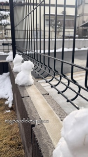 �ς�����