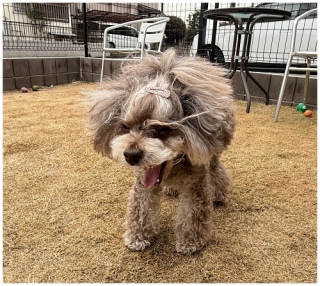 �����[���I