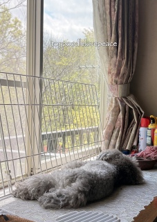 ���Q💤